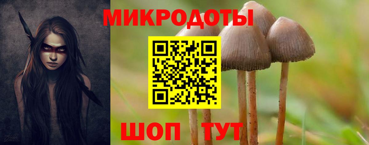 Галлюциногенные грибы прущие грибы Кингисепп
